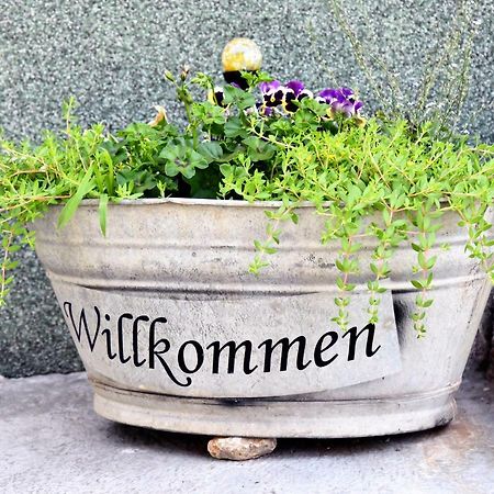 Am Gutspark Alt Tucheband Bagian luar foto
