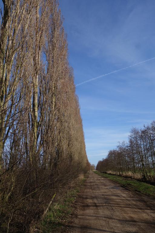 Am Gutspark Alt Tucheband Bagian luar foto