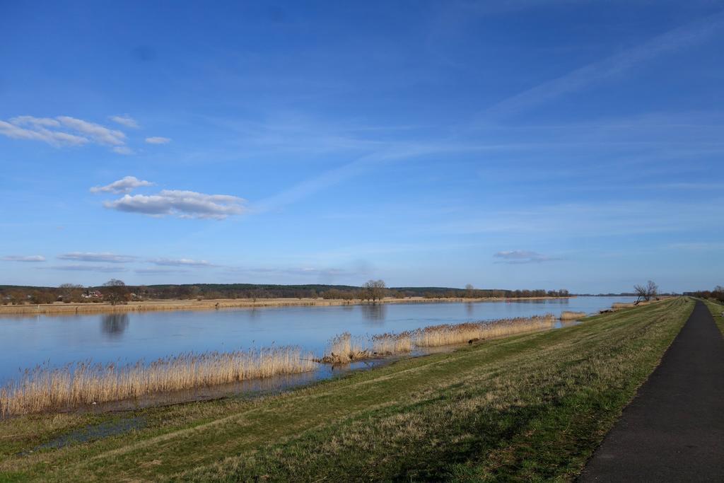 Am Gutspark Alt Tucheband Bagian luar foto