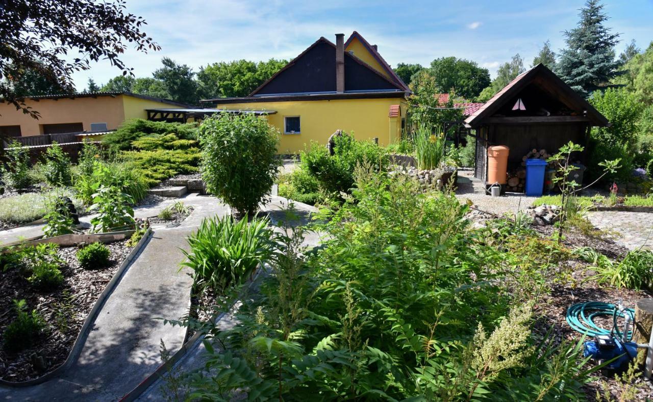Am Gutspark Alt Tucheband Bagian luar foto