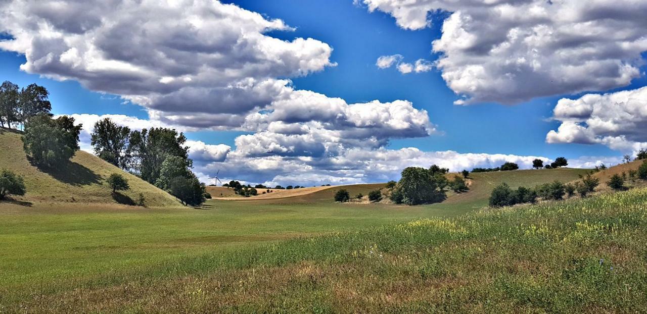 Am Gutspark Alt Tucheband Bagian luar foto