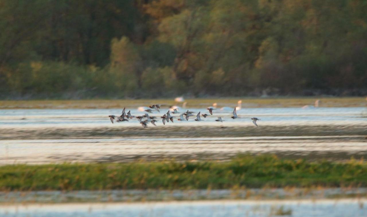 Am Gutspark Alt Tucheband Bagian luar foto
